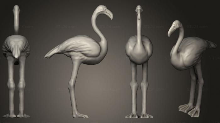 Realistic Flamingo